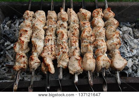 Skewers of meat turkeys roasted on the coals.