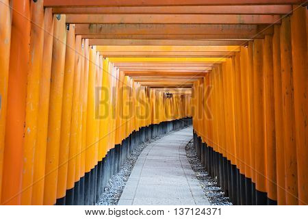 KYOTO, JAPAN - APRIL 29, 2016 : The path beyond the orange Torii gates in Fushimi Inari shrine, one of famous landmarks in Kyoto, Japan