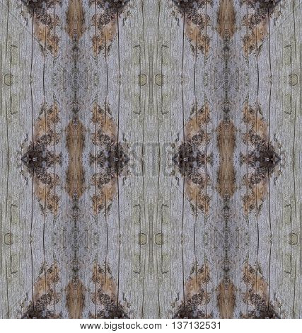 Tree stump cut old wooden background from top view. Collage with mirror reflection of cut tree trunk. Decorative seamless wooden texture