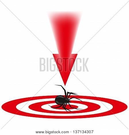 the spider a dangerous insect, an animal with paws, blows to the malefactor, an insect on a look, a red arrow, destruction of a being, insects with a thin body, long legs, to kill a creature