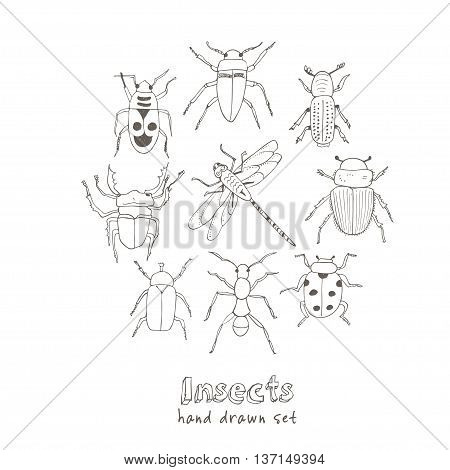 Set of doodle sketch Bugs and beetles. Insects collection kit. Isolated vector illustration