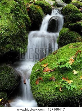 Beautiful waterfal between rocks covered by moss.