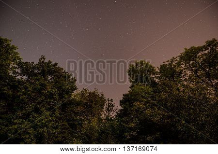 sky, night, stars, beautiful, winter, forest, star, mountain, starry, texture, moon, nature, blue, background, clear, colorful, image, galaxy, white, natural, tree