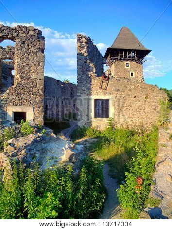 Castelo de Nevytsky em Zakarpattya