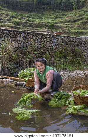 Zhaoxing Dong Village Guizhou Province China - April 8 2010: Asian woman washing salad leaves in water rural river squatting and smiling.