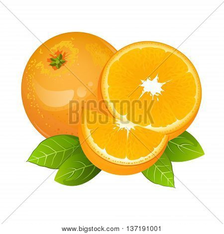 Orange fruit icon vector set. Composition isolated on white background. Realistic juicy orange with leaves