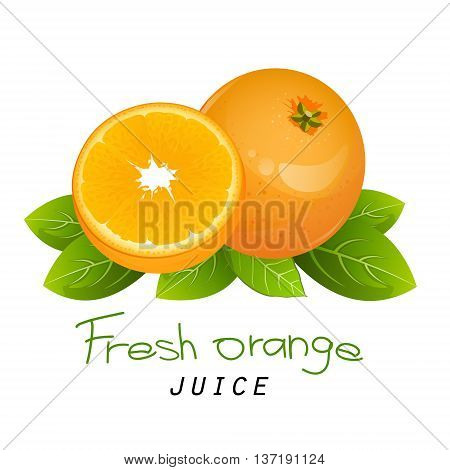 Fresh orange fruit. Realistic citrus slice for juice vector illustration