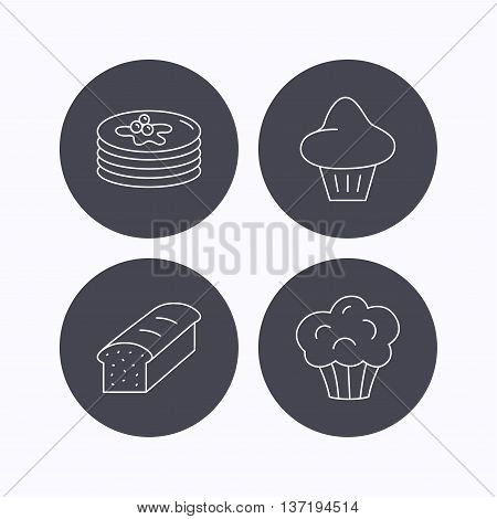 Pancakes, brioche muffin and toast bread icons. Cupcake linear sign. Flat icons in circle buttons on white background. Vector