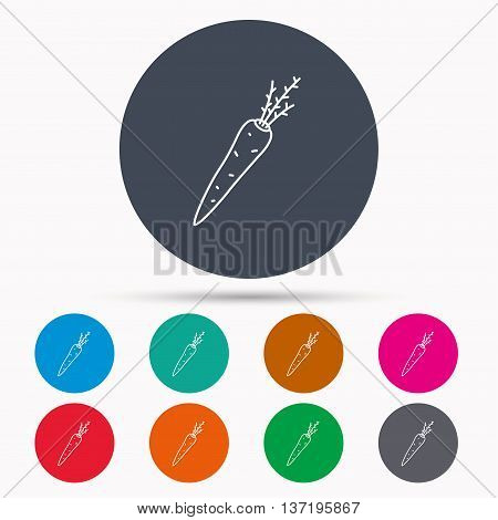 Carrot icon. Vegetarian food sign. Natural vegetable symbol. Icons in colour circle buttons. Vector