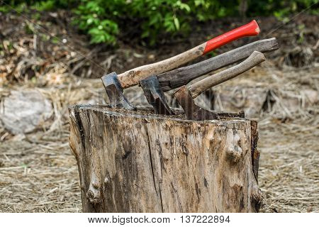 Axe stuck in treeold axe stuck in a stump on a background of straw closeup