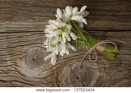 A bounch of snowdrops isolated on wooden table