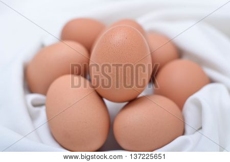 An egg is the organic vessel containing the zygote in which an animal embryo develops until it can survive on its own, at which point the animal hatches.