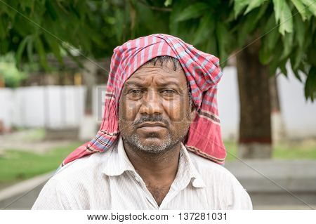 Bearded Singer