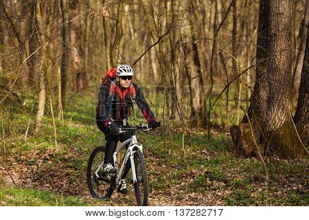 Cyclist Riding the Bike on a Trail in Summer Forest. Sport Concept.