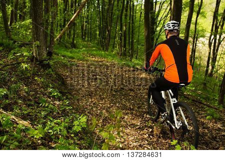 Cyclist Riding the Bike on a Trail in Summer Forest. Sport Concept.