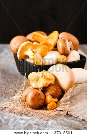 Cantharellus Cibarius, Commonly Known As The Chanterelle, Golden