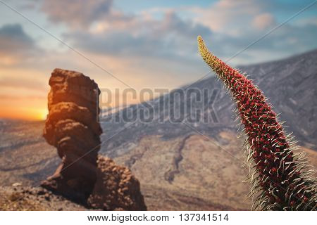 Famous Finger Of God Rock