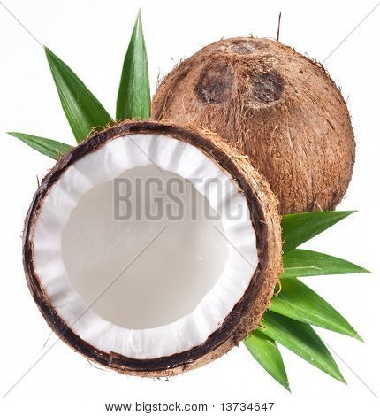 椰子在白色背景上的高质量照片。
