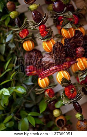 Decorative Dried Vegetable