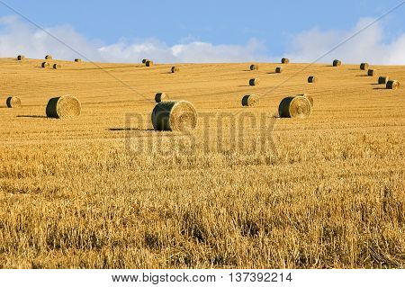 Straw bales, harvest season in east Europe