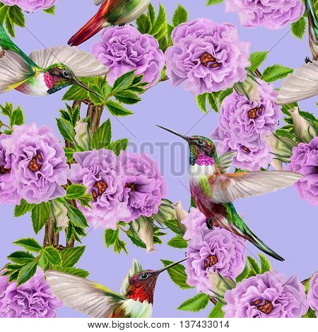 Pattern seamless. Floral background. Fine weaving lace mosaic. Bouquet of flowers of lilac roses. Little flying bird hummingbirds.