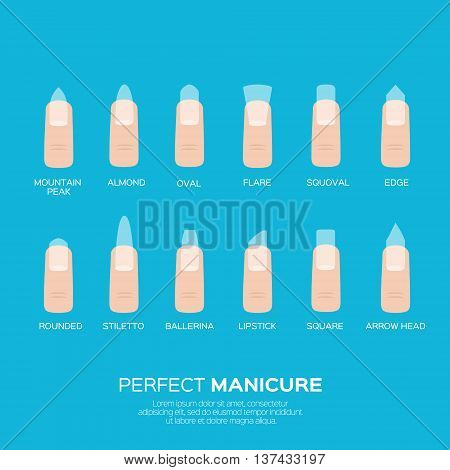 Different nail shapes. Woman fingers. Fingernails fashion trends. Vector design illustration