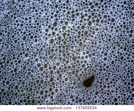 bubble Sea wave water foam texture background