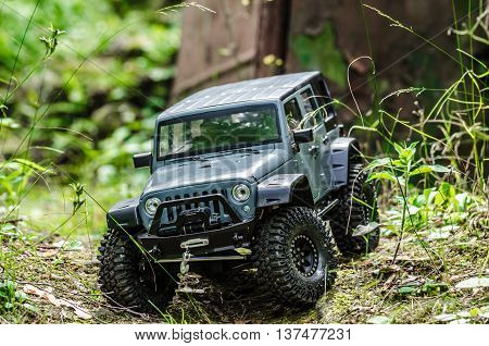Car In Woods