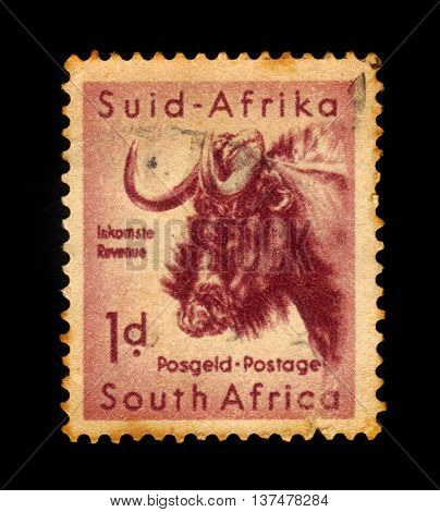 SOUTH AFRICA - CIRCA 1954: A stamp printed in South Africa shows wildebeest, south african wildlife, Kruger park series, circa 1954