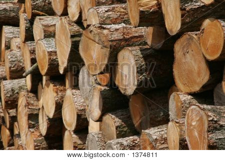 Logs
