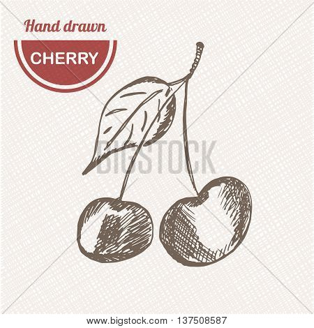 Hand drawn sketch style cherry composition. Healthy food vector illustration.