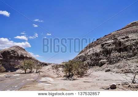 Valle De La Luna. Ischigualasto Provincial Park. Argentina