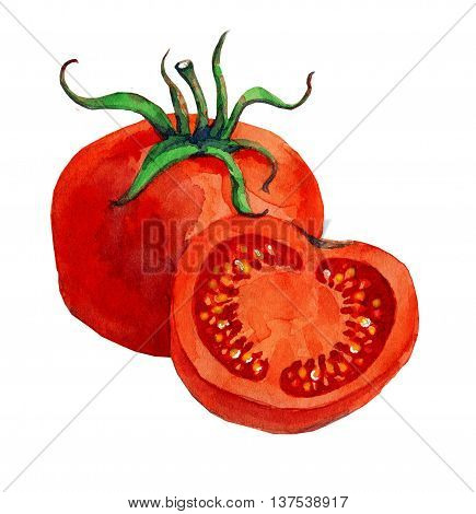 Watercolor hand drawn illustration of tomatoes: whole and half.