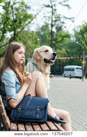 Portrait of a young girl and her dog on a park bench outdoors. Happy owner sitting next to his dog breed golden retriever on a background of summer city. Human friendship and dogs. Joint pastime.