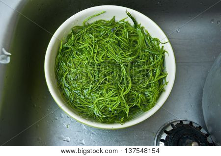 Acacia pennata ready to cook - Cha-om Thai Food