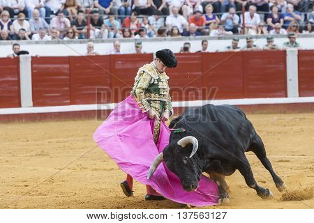 Pozoblanco Spain - September 23 2011: The Spanish Bullfighter Julian Lopez El Juli bullfighting with the crutch in the Bullring of Pozoblanco Spain