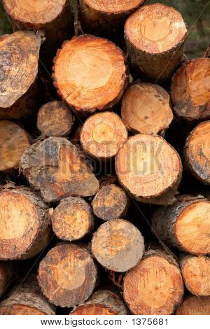 Logs Stacked Background