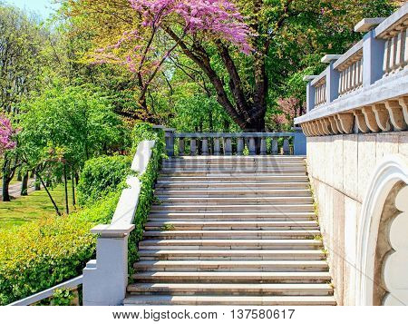 Marbel stairs and parapet in a park with green and purple blossoming trees