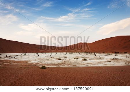 View of the Deadvlei in Namibia, Africa