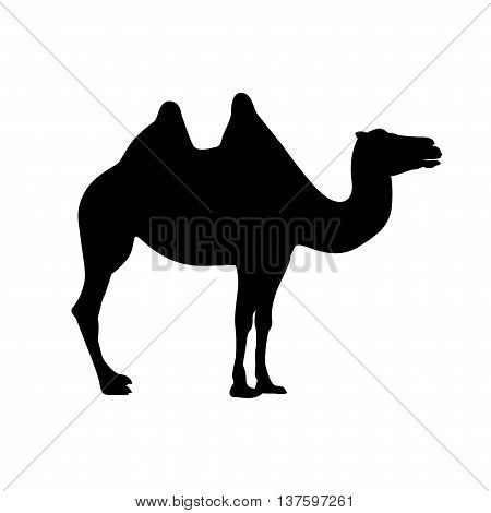 bactrian camel vector black on white silhouette