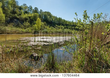 Landscape in northern germany with little pond