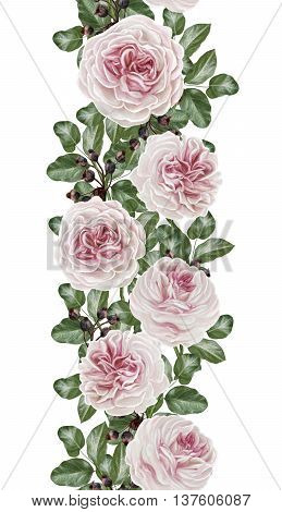 Vertical floral border. Pattern seamless. Old style mosaic. Flower garland of pink camellias.Isolated.