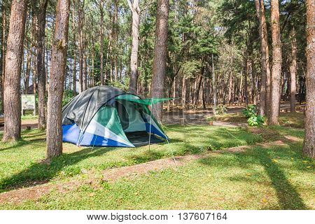 Dome tent for camping of tourist in forest camping site