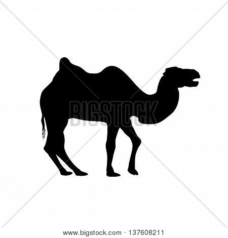 Bactrian Camel Silhouette
