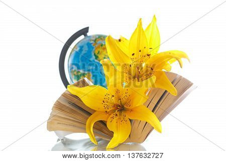 Globe with books and flowers on a white background