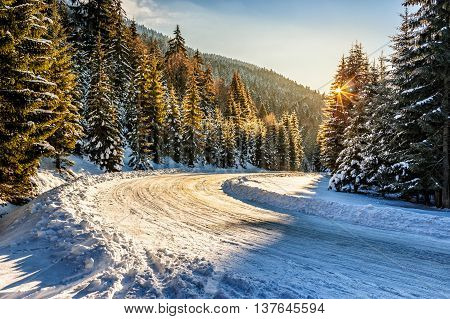 winter mountain landscape. winding road that leads into the spruce forest covered with snow at sunrise
