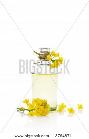 Rapeseed oil and flower isolated on white background.