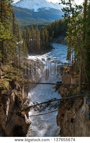 View of Sunwapta Falls in Jasper National Park.