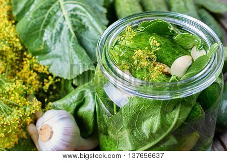Home made pickles in brine with garlic dill and horseradish