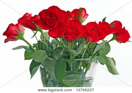 Rosen In einer Vase